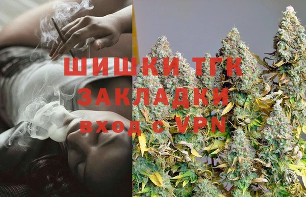 МДПВ Алексин