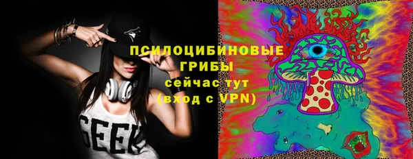 МДПВ Алексин