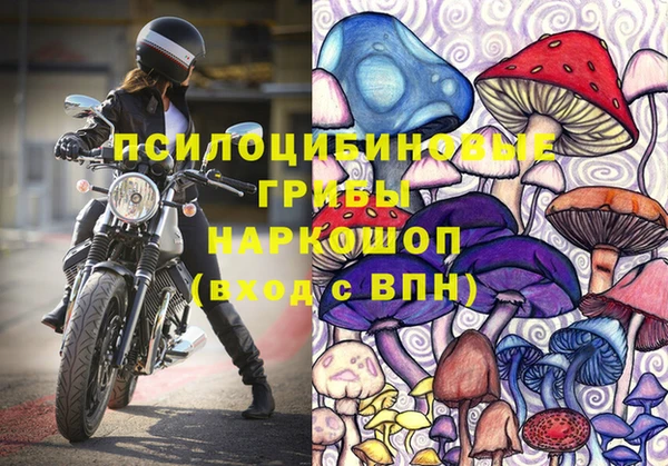 PSILOCYBIN Алексеевка