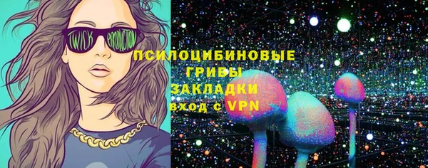 PSILOCYBIN Алексеевка