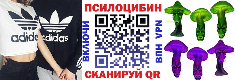 kraken маркетплейс  Хвалынск  Псилоцибиновые грибы мухоморы  купить наркотик 